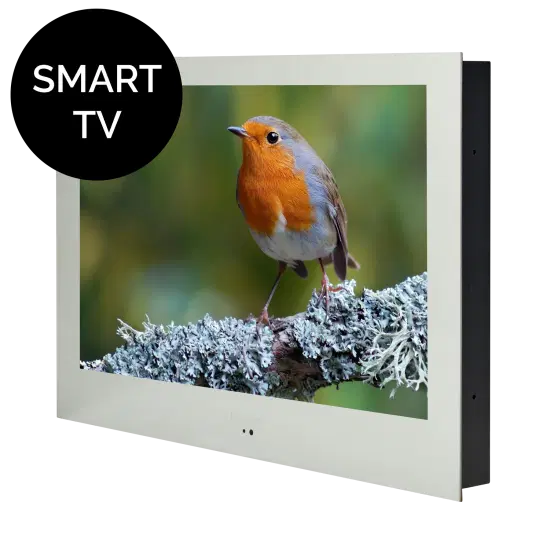 Proofvision - A smart TV displaying a high-definition image of a small bird with orange and gray feathers, perched on a branch covered with lichen. The TV's sleek, modern frame is visible, and the words "SMART TV" are written in the top left corner of the screen.